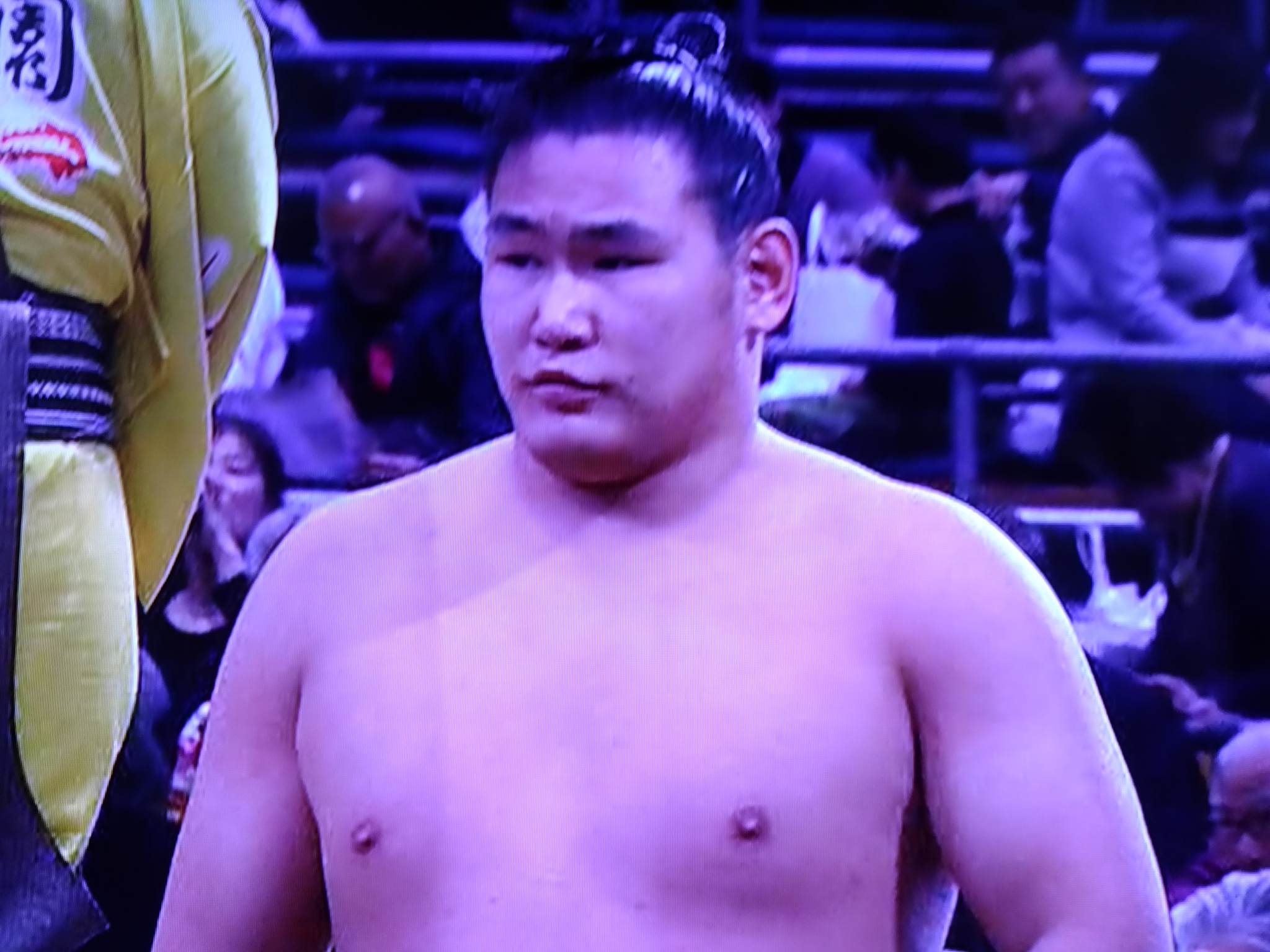 朝青龍の甥っ子、豊昇龍の取組結果【平成31年3月場所】戦績まとめ！