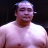 鶴竜が優しいと評判のバックハグって何？お嫁さんと２人の子供が心の支え！