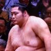 大相撲 遠藤聖大の父親がイケメンで母親は美人？妹さんがかわいいとも話題に！