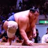 北勝富士大輝、所沢の星！両親（父・母）はどんな人？子供時代～入門までをご紹介！