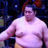 大相撲・遠藤聖大の経歴まとめ!相撲との出会いは父に騙された?