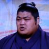 大相撲・志摩ノ海、亡き父に捧ぐ相撲界での活躍！子供の頃の相撲との出会いとは？