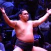 朝青龍の甥っ子、豊昇龍の取組結果【令和元年７月場所】戦績まとめ！