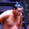 朝青龍の甥っ子、豊昇龍の取組結果【令和元年９月場所】戦績まとめ！